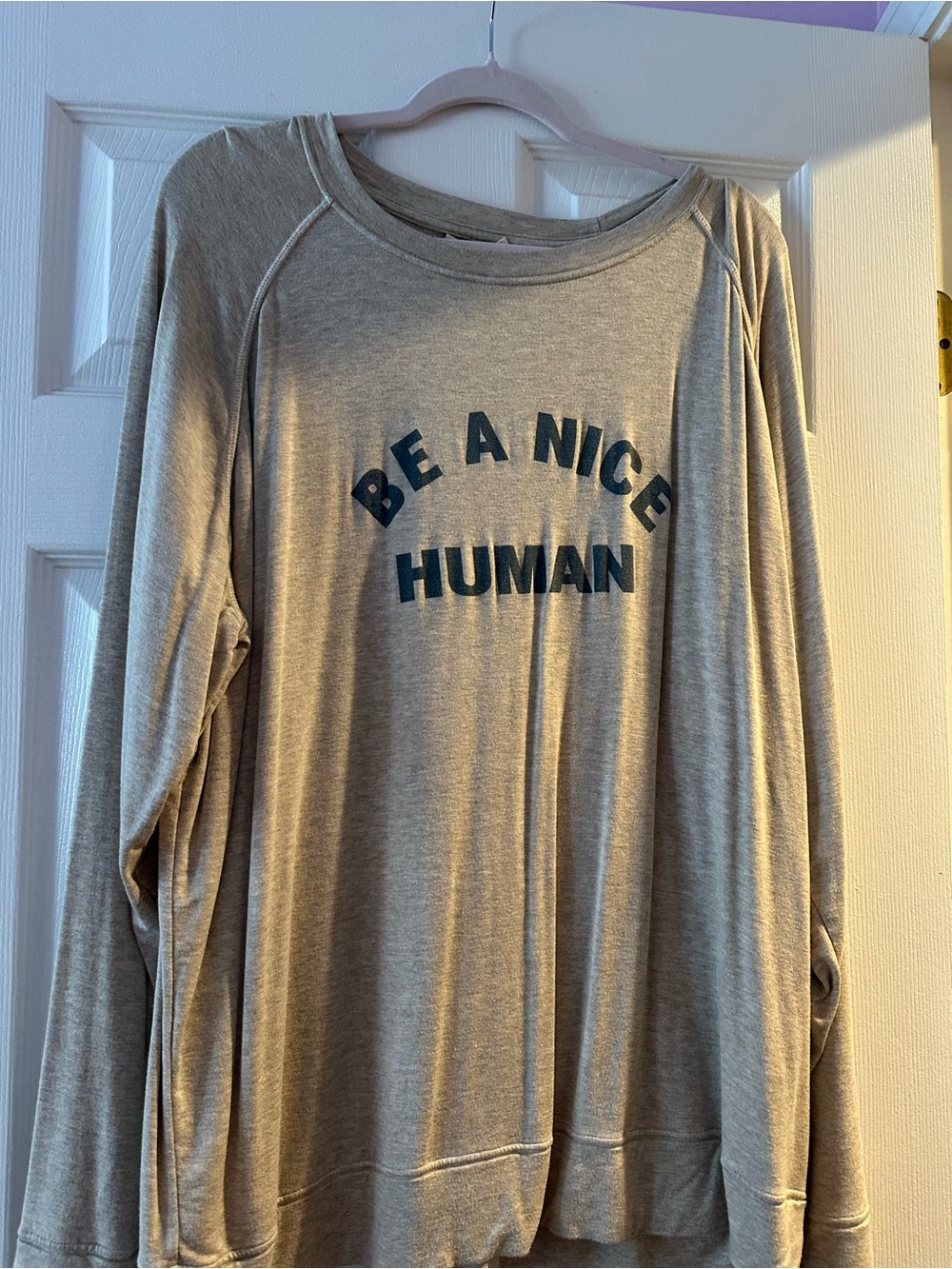 Be A Nice Human Gray Long-Sleeve Tee by